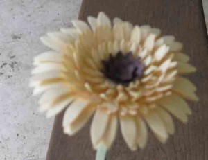 multiple layer daisy